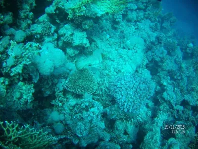 Egypt - severní safari, fotografie 48