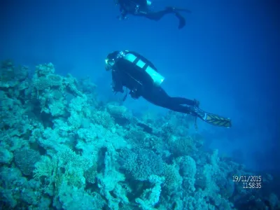 Egypt - severní safari, fotografie 50