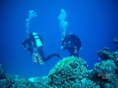 Egypt - severní safari, fotografie 72