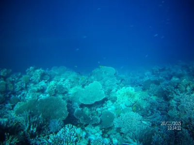 Egypt - severní safari, fotografie 76