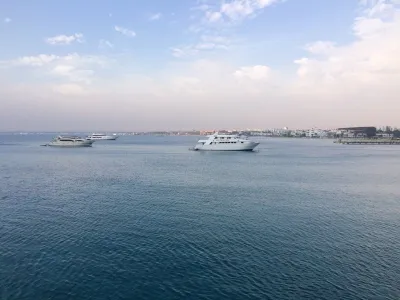Egypt - severní safari, fotografie 85