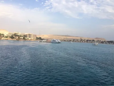 Egypt - severní safari, fotografie 87