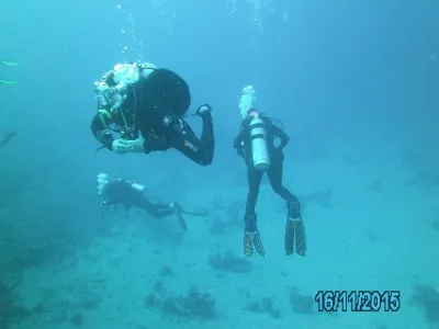 Egypt - severní safari, fotografie 110