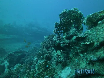 Egypt - severní safari, fotografie 118