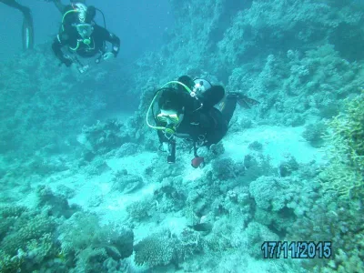 Egypt - severní safari, fotografie 140