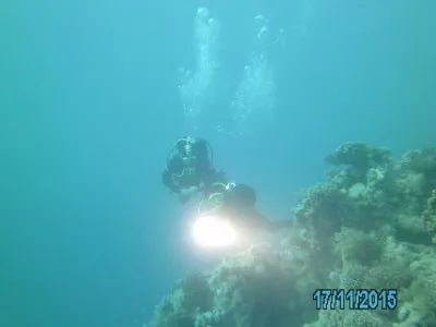 Egypt - severní safari, fotografie 148