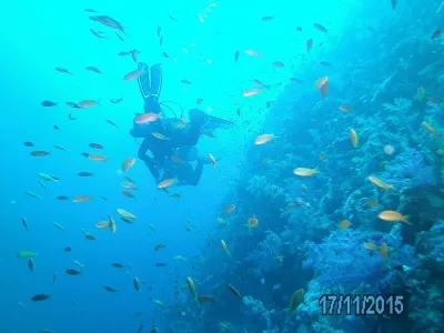 Egypt - severní safari, fotografie 162