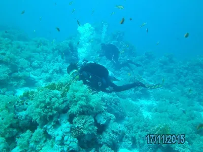 Egypt - severní safari, fotografie 164