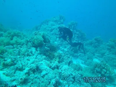 Egypt - severní safari, fotografie 166