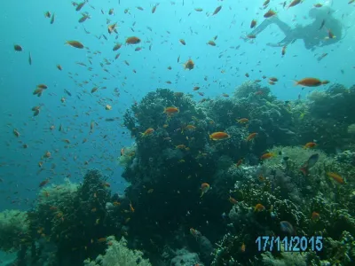 Egypt - severní safari, fotografie 172