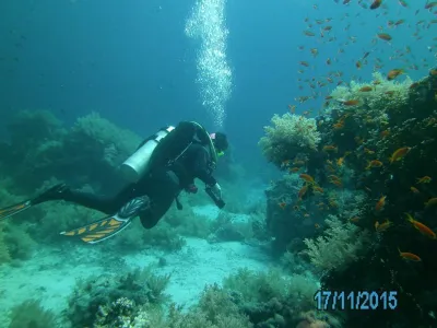 Egypt - severní safari, fotografie 173