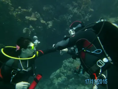 Egypt - severní safari, fotografie 183