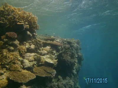 Egypt - severní safari, fotografie 185