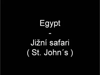 Egypt - Jižní safari, fotografie 1