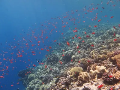 Egypt - Jižní safari, fotografie 9