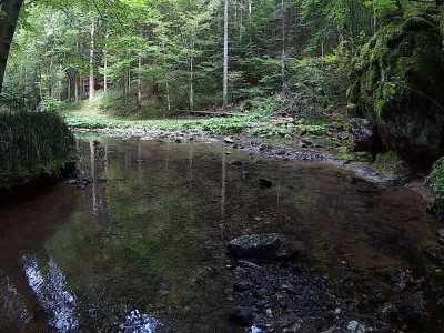 Speleokongres - RO, fotografie 166