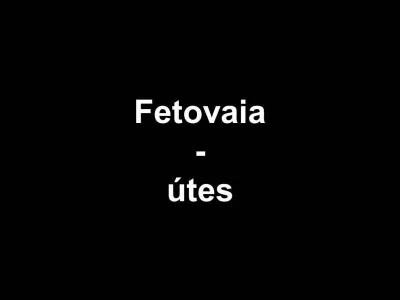 Ostrov Elba - Itálie, fotografie 271