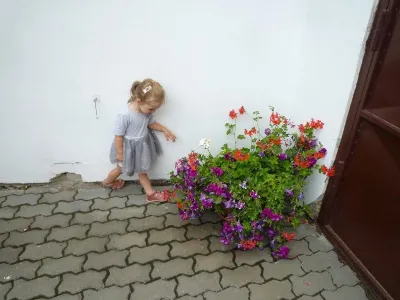 Svatba - Minaříkovi, fotografie 39