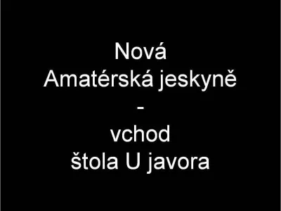 Plazivá kačena, fotografie 2