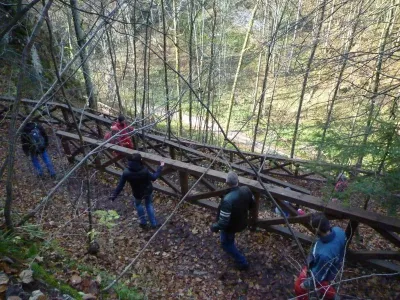 Plazivá kačena, fotografie 27
