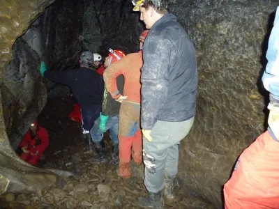 Plazivá kačena, fotografie 136
