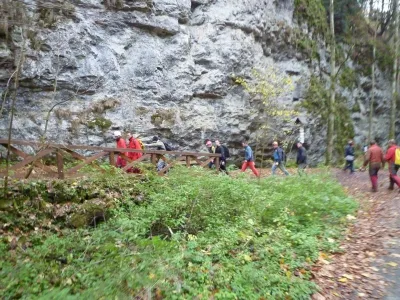 Plazivá kačena, fotografie 158