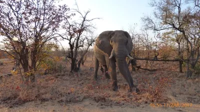 Expedice Mosambik - Afrika, fotografie 12