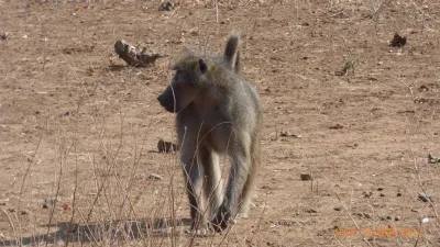 Expedice Mosambik - Afrika, fotografie 15