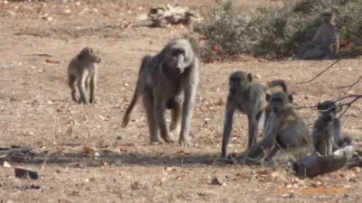 Expedice Mosambik - Afrika, fotografie 16
