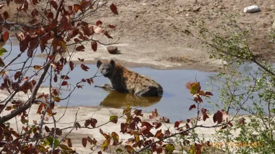 Expedice Mosambik - Afrika, fotografie 17