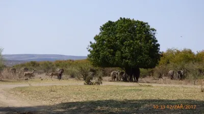 Expedice Mosambik - Afrika, fotografie 26