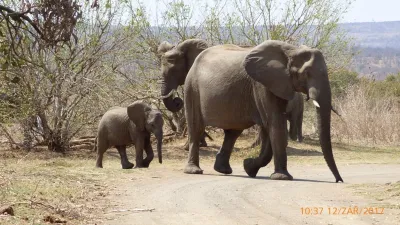 Expedice Mosambik - Afrika, fotografie 28