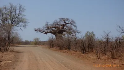 Expedice Mosambik - Afrika, fotografie 32