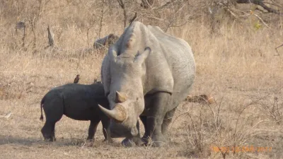 Expedice Mosambik - Afrika, fotografie 40