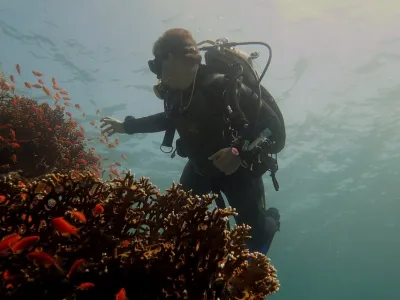 Egypt - Marsa Alam, fotografie 4