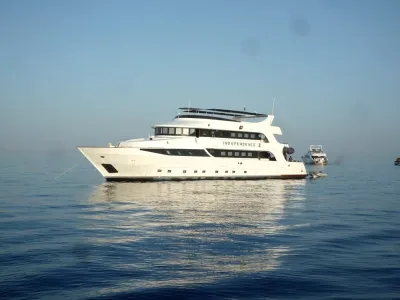 Egypt - Safari, fotografie 42