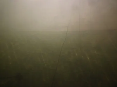Lom Řásná, fotografie 60