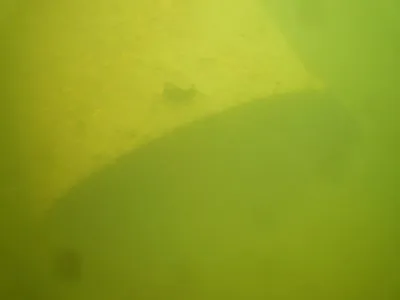 Lom Řásná, fotografie 69
