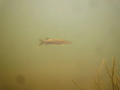Lom Řásná, fotografie 86