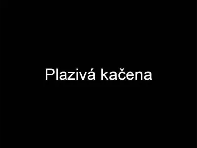 Plazivá kačena, fotografie 1
