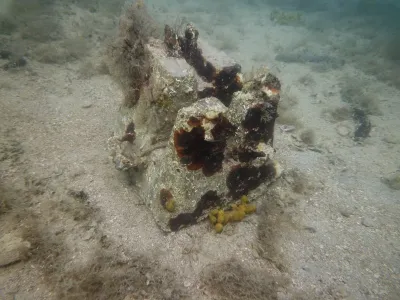 Puntižela bay - HR, fotografie 37