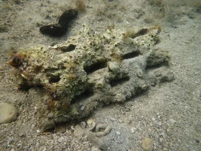 Puntižela bay - HR, fotografie 38