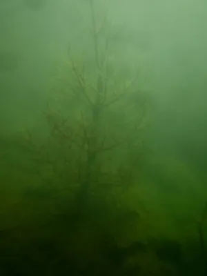 Lom Řásná, fotografie 52