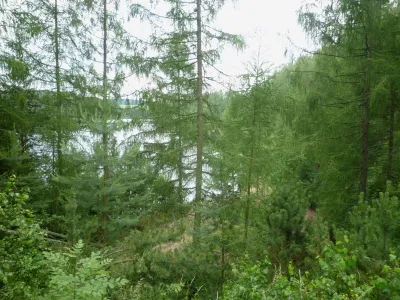 lom Horní Cerekev, fotografie 14