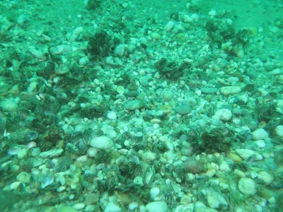 Senec - Guláška lokalita č.2, fotografie 98