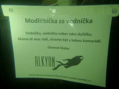 Dalešice - Wilsonka, fotografie 117