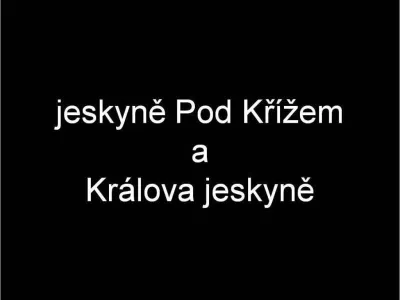 Plazivá kačena, fotografie 3