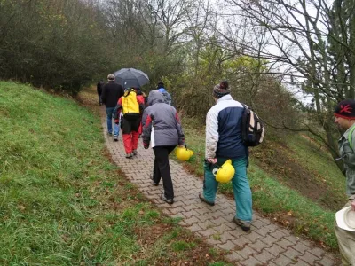Plazivá kačena, fotografie 18