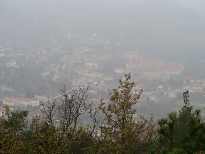Plazivá kačena, fotografie 31
