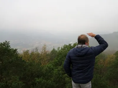 Plazivá kačena, fotografie 36